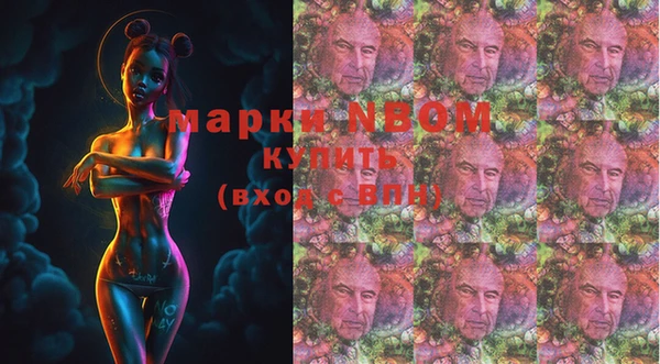 шишки Балахна