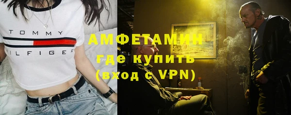 шишки Балахна