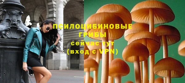 шишки Балахна