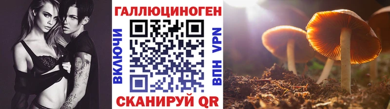 дарнет шоп кракен ССЫЛКА Псилоцибиновые грибы прущие грибы Борисоглебск